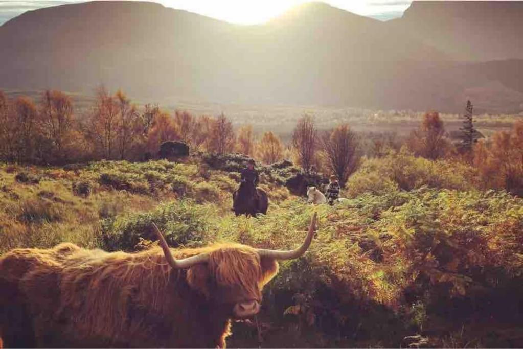 Wild Nurture Eco Luxury Offgrid Log Cabin Fort William Exterior foto