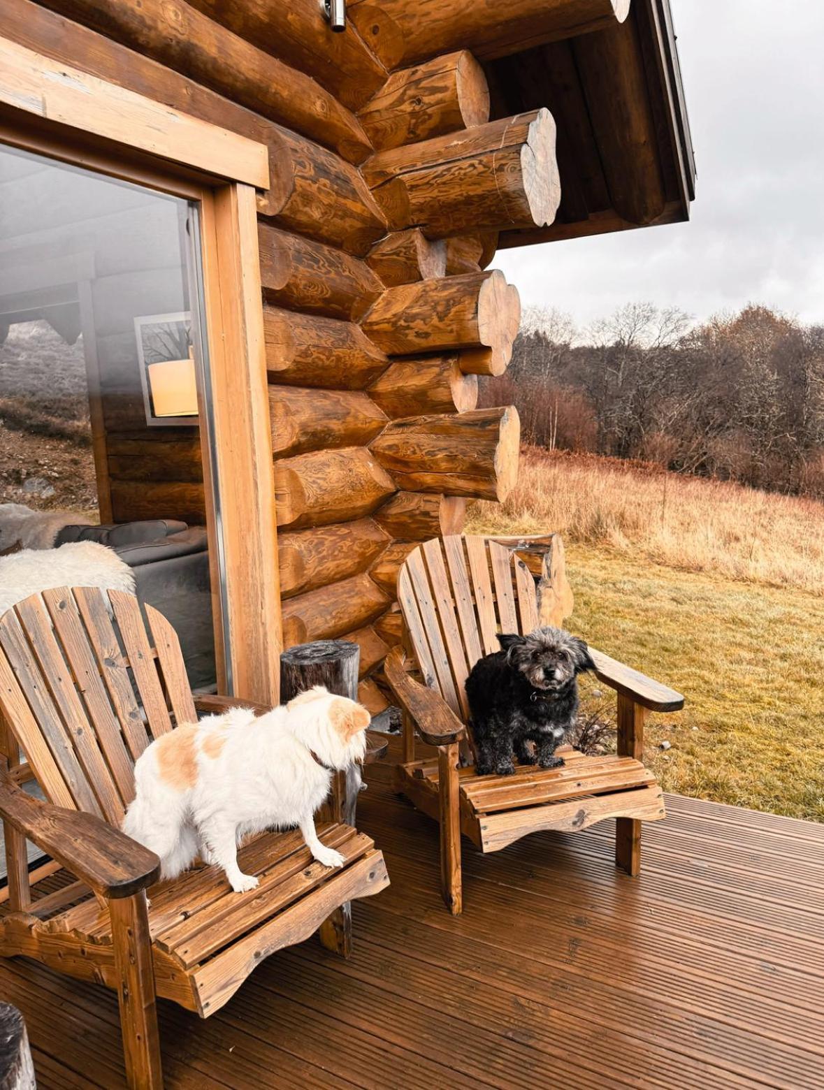 Wild Nurture Eco Luxury Offgrid Log Cabin Fort William Exterior foto